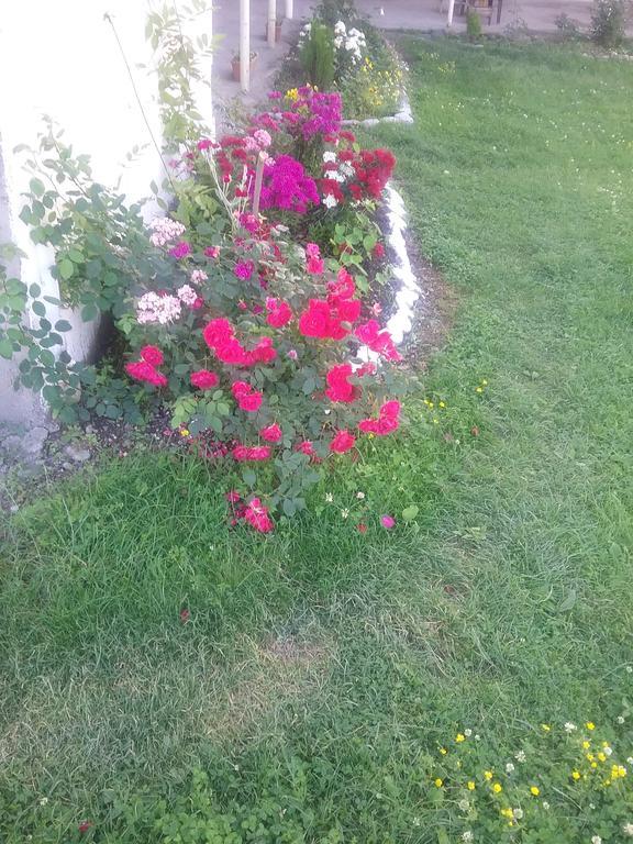Guest House Anisa Birkiani Dış mekan fotoğraf