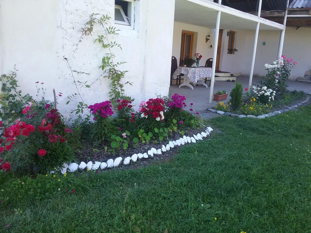 Guest House Anisa Birkiani Dış mekan fotoğraf